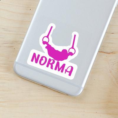 Norma Sticker Ringturnerin Gift package Image