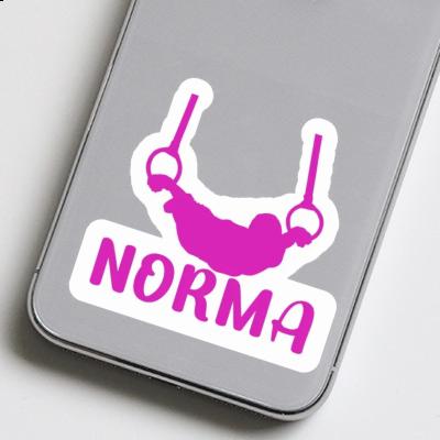 Norma Sticker Ringturnerin Gift package Image