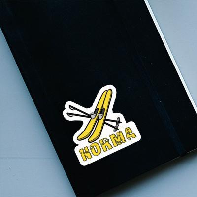 Autocollant Ski Norma Gift package Image