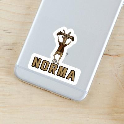 Sticker Norma Capricorn Gift package Image