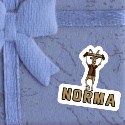 Norma Autocollant Bouquetin Gift package Image