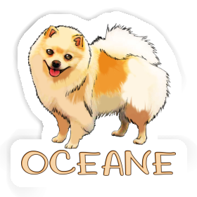 Sticker Deutsche Spitze Oceane Image