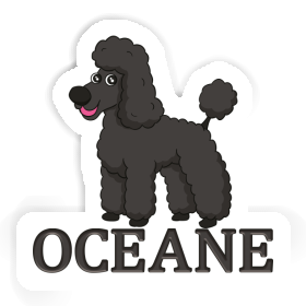 Aufkleber Pudel Oceane Image