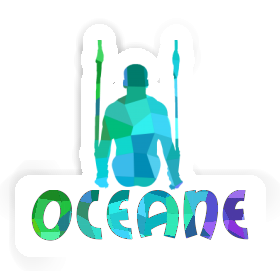 Ring gymnast Sticker Oceane Image