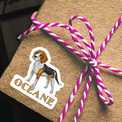 Aufkleber Beagle Oceane Laptop Aufkleber Beagle Oceane Laptop Image