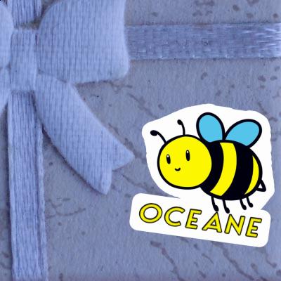 Bee Sticker Oceane Notebook Bee Sticker Oceane Gift package Image