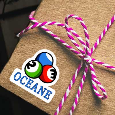 Billiard Ball Sticker Oceane Notebook Billiard Ball Sticker Oceane Gift package Image