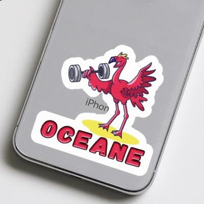 Sticker Weight Lifter Oceane Notebook Sticker Weight Lifter Oceane Gift package Image