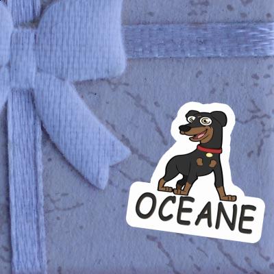 Sticker Pinscher Oceane Sticker Pinscher Oceane Image