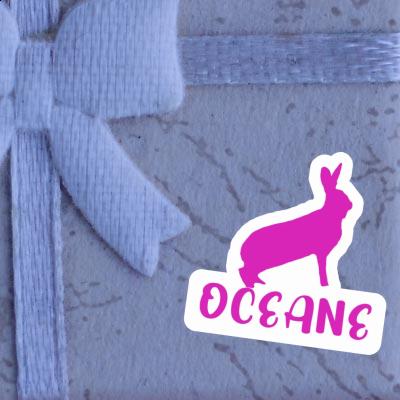 Oceane Aufkleber Kaninchen Laptop Oceane Aufkleber Kaninchen Laptop Image