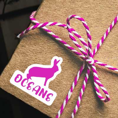 Rabbit Sticker Oceane Notebook Rabbit Sticker Oceane Notebook Image