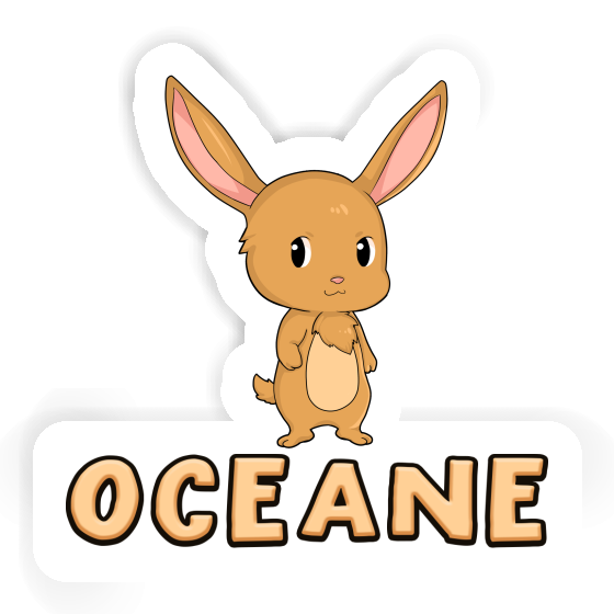 Aufkleber Oceane Osterhase Notebook Aufkleber Oceane Osterhase Gift package Image