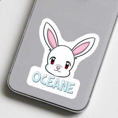 Sticker Oceane Hase Notebook Sticker Oceane Hase Gift package Image