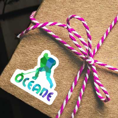 Aufkleber Eishockeyspieler Oceane Notebook Aufkleber Eishockeyspieler Oceane Gift package Image