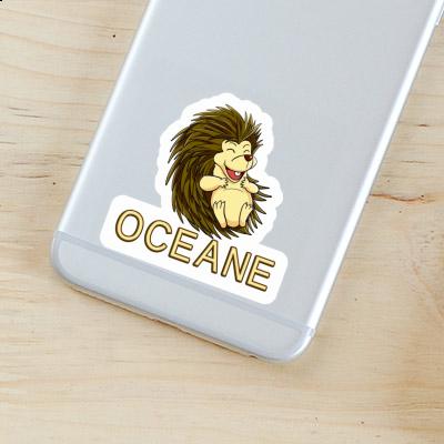 Hedgehog Sticker Oceane Notebook Hedgehog Sticker Oceane Gift package Image