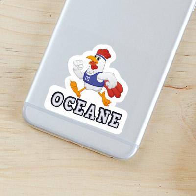 Chicken Sticker Oceane Notebook Chicken Sticker Oceane Gift package Image