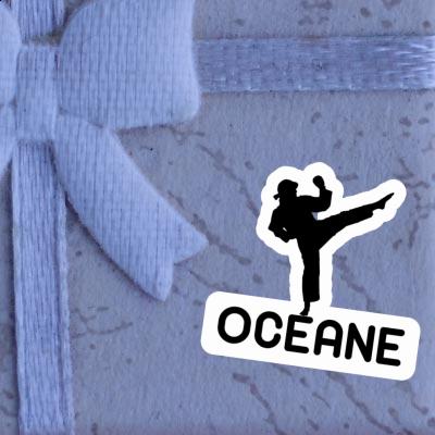 Sticker Karateka Oceane Notebook Sticker Karateka Oceane Gift package Image