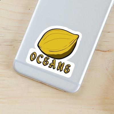 Nut Sticker Oceane Notebook Nut Sticker Oceane Notebook Image