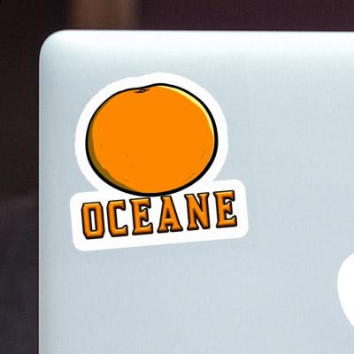 Oceane Sticker Orange Notebook Oceane Sticker Orange Notebook Image