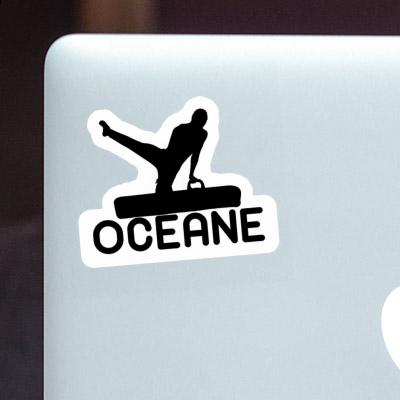 Gymnast Sticker Oceane Notebook Gymnast Sticker Oceane Gift package Image