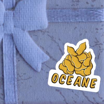 Erdnuss Aufkleber Oceane Notebook Erdnuss Aufkleber Oceane Notebook Image