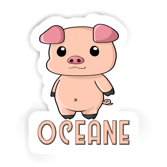 Sticker Oceane Piggy Notebook Sticker Oceane Piggy Gift package Image