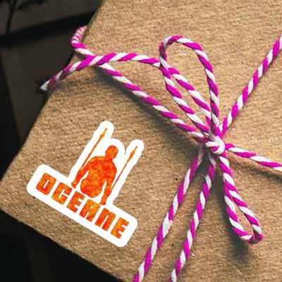 Sticker Ring gymnast Oceane Notebook Sticker Ring gymnast Oceane Gift package Image