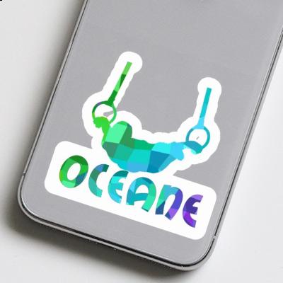 Sticker Ring gymnast Oceane Notebook Sticker Ring gymnast Oceane Notebook Image