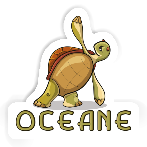 Yoga Turtle Sticker Oceane Notebook Yoga Turtle Sticker Oceane Gift package Image