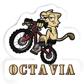 Autocollant Octavia Chat à vélo Image