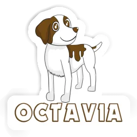 Sticker Octavia Spaniel Image
