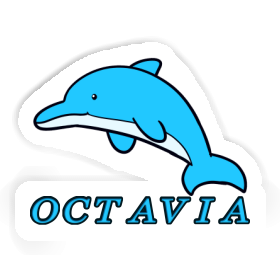 Autocollant Dauphin Octavia Image