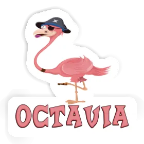 Flamingo Sticker Octavia Image