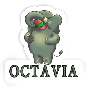 Éléphant Autocollant Octavia Image