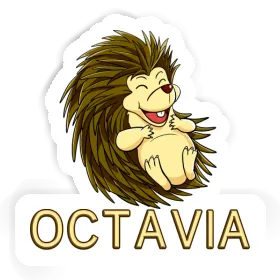 Hedgehog Sticker Octavia Image