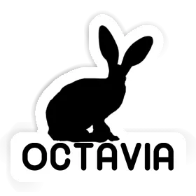 Autocollant Lapin Octavia Image