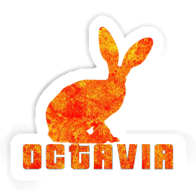Lapin Autocollant Octavia Image