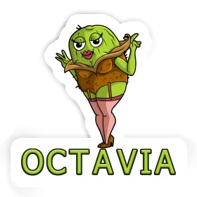 Sticker Kiwi Octavia Image