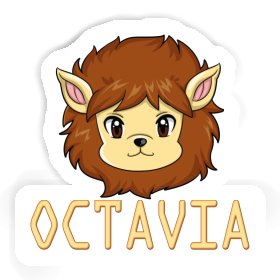 Lionhead Sticker Octavia Image