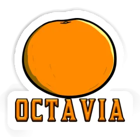 Orange Sticker Octavia Image