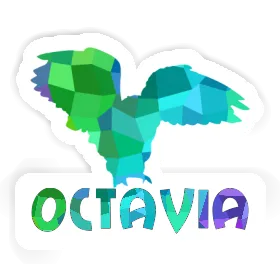 Autocollant Octavia Hibou Image