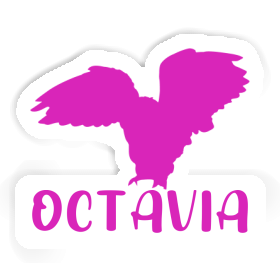 Octavia Autocollant Hibou Image