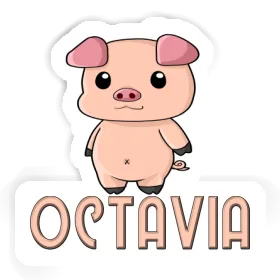 Pigg Sticker Octavia Image