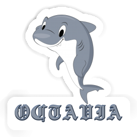 Requin Autocollant Octavia Image