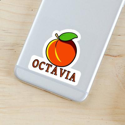 Autocollant Octavia Abricot Laptop Autocollant Octavia Abricot Laptop Image
