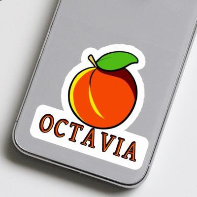 Sticker Apricot Octavia Laptop Image