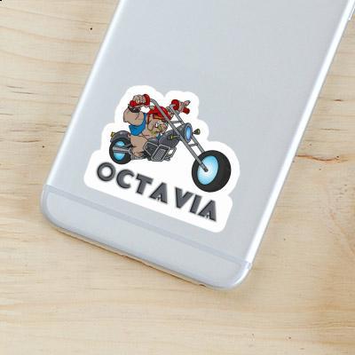 Octavia Aufkleber Motorradfahrer Laptop Image