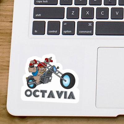 Octavia Aufkleber Motorradfahrer Image