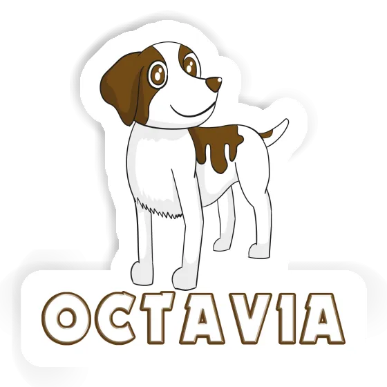 Sticker Octavia Spaniel Laptop Sticker Octavia Spaniel Laptop Image