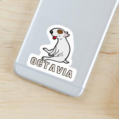 Autocollant Octavia Bull Terrier Laptop Autocollant Octavia Bull Terrier Laptop Image